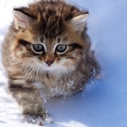 Ирина Ирина on My World.
