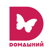 Тв канал домашний прямая трансляция. Телеканал домашний. Домашний Телеканал логотип. Логотип канала домашний новый.