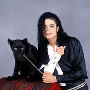 Fans Michael Jackson  группа в Моем Мире.