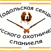Подольская секция Русского охотничьего спаниеля группа в Моем Мире.