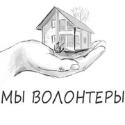 Волонтеры рисунок карандашом