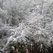 Анатолий Гришан on My World.