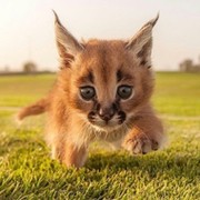 Неизвестно Неизвестно on My World.