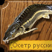иван козин on My World.