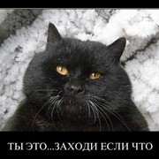 Котэ Фильдеперстович on My World.