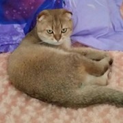 Алексей Пызин on My World.