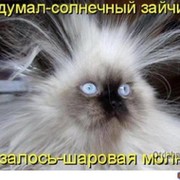 150 Любовь Антонова on My World.