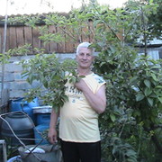 александр денисов on My World.