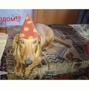 Евген А on My World.