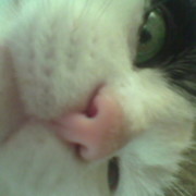 Анна Анна on My World.