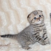 Леночка Ботвинко  !!! on My World.