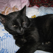 Елена Чистякова on My World.
