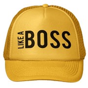 Code Boss on My World.