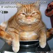 Боб Бобров on My World.