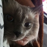 дима попов on My World.