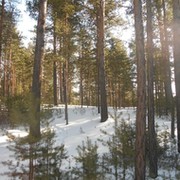 Алексей Дзюба on My World.