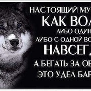 Олег Никитин on My World.