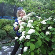 Елена Хапова on My World.
