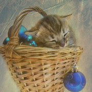 елена каталымова on My World.