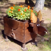 Жуков Игорь on My World.