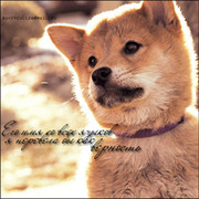 Леонид"Шмель" ..Петрович.. on My World.