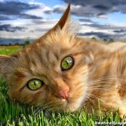 Татьяна Любимцева on My World.