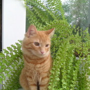 Людмила  К on My World.