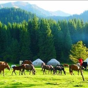 Гульхан Маккамбаева on My World.
