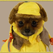 max dogdik on My World.