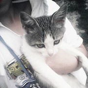 Данила Мишунин on My World.
