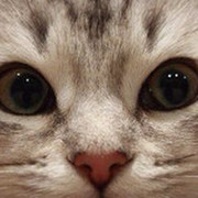 'Желанный' \\ Мистикуля on My World.