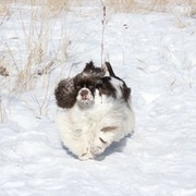 Валя Федотова on My World.
