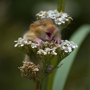 Ольга Давыдова on My World.