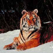 Вячеслав Шаронов в Моем Мире.