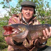Александр Шульга on My World.