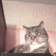 Григорий Григорьев on My World.