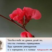 Тара Т.Т. on My World.