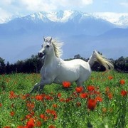 Светлана Успенская on My World.