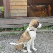 Юрий Зайнулин on My World.